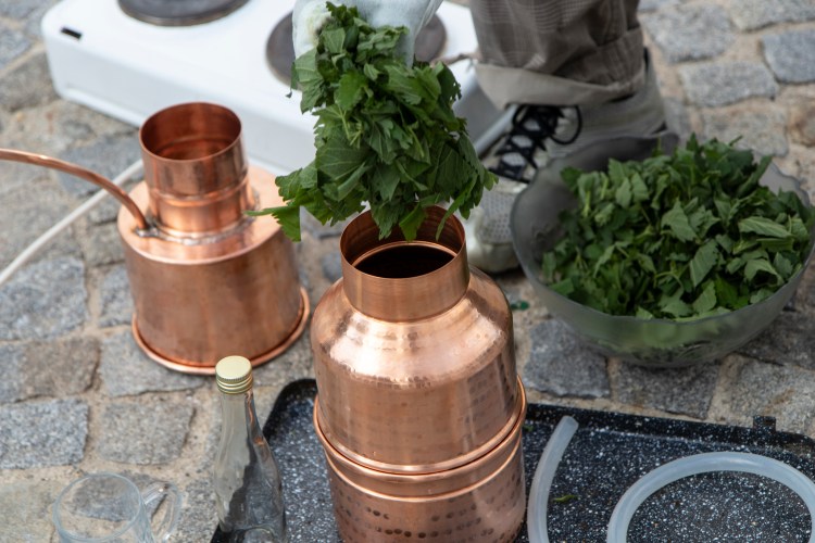 HOKY-POKY II - MUELLER-DIVJAK / BILDRECHT 2021