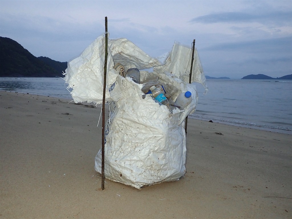 SAME PROCEDURE AS EVERY DAY - MUELLER-DIVJAK / BILDRECHT 2020